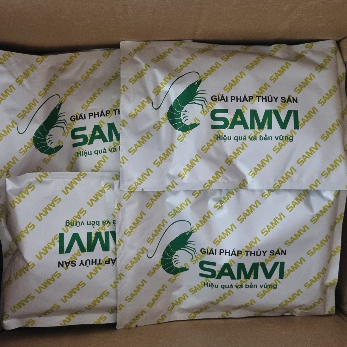 Mầm Samvi trong ao nuôi