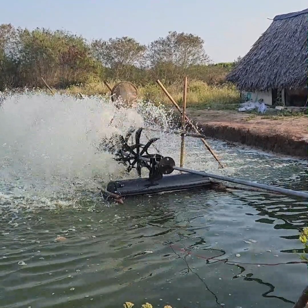 Sản phẩm thiết bị báo gãy quạt Samvi 1 (Hình vuông nhỏ)